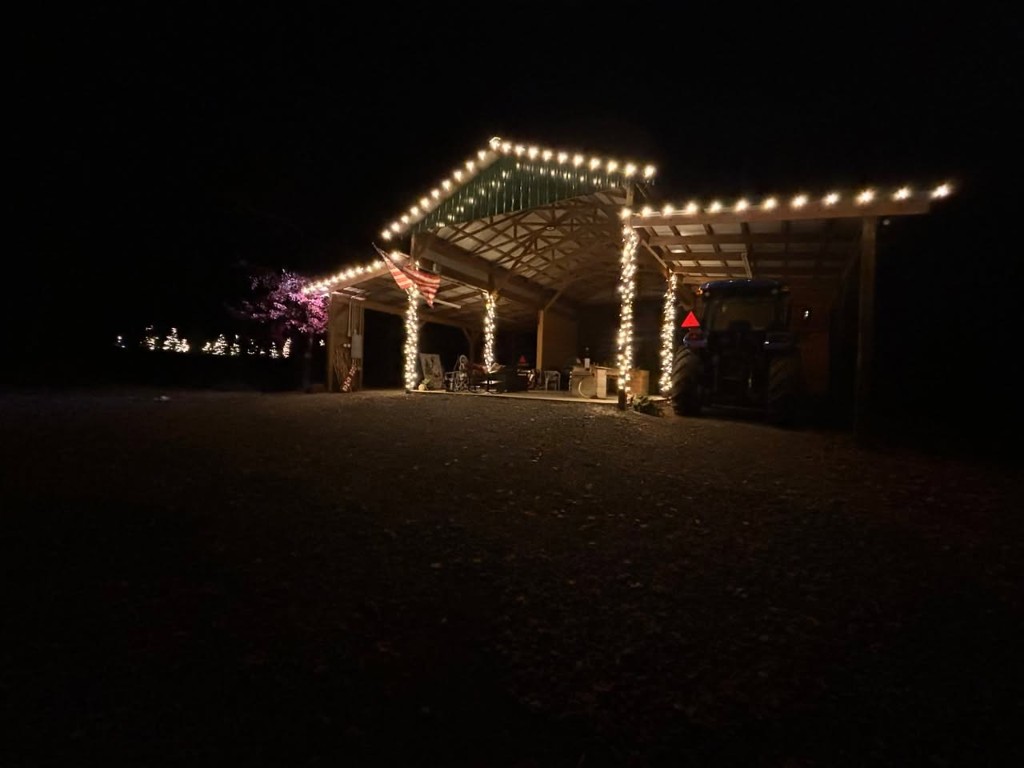 Christmas lights wrapped around covered structure posts and roofline